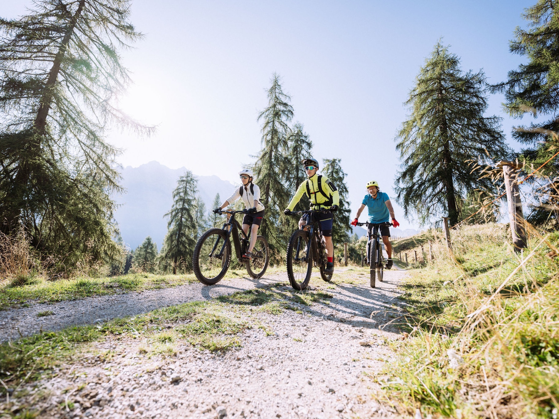 Downhill Sport Bici In Montagna Trek Bike TrentinoWild