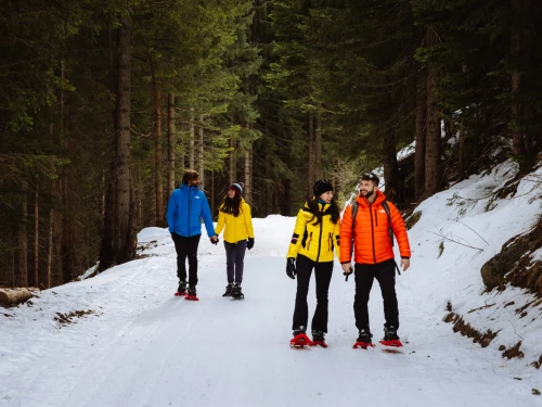 Snowshoeing in the Dolomites 1/2 day