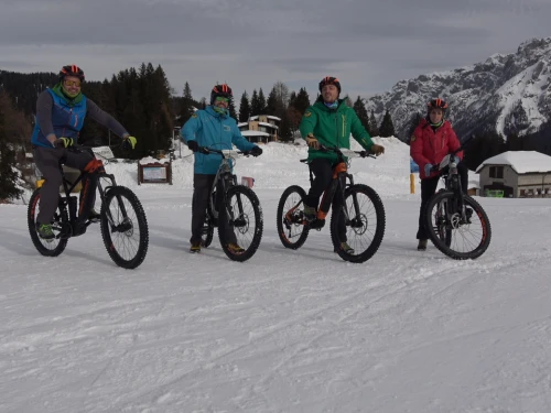 E-Bikes im Schnee 