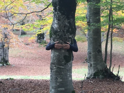 Noi e la natura: forest therapy, tree hugging_5