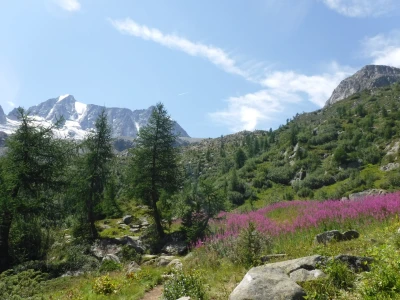 Trekking to Malghette lake_3